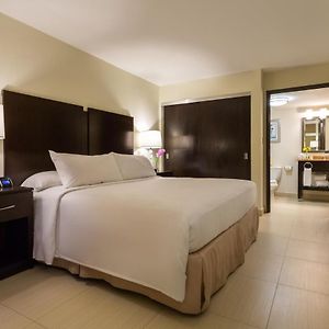1 King Bed 2 Room Ambient Suite